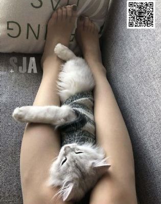 我给你的喜欢