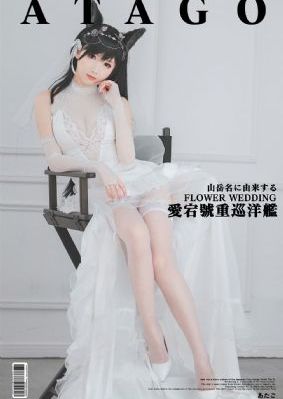 飞天大盗在线观看免费观看全集