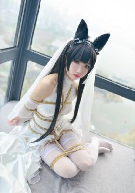 枫与铃在线免费观看
