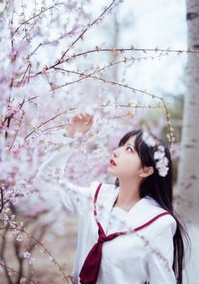 那年花开月正圆免费全集播放