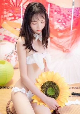 噼里啪啦免费高清看